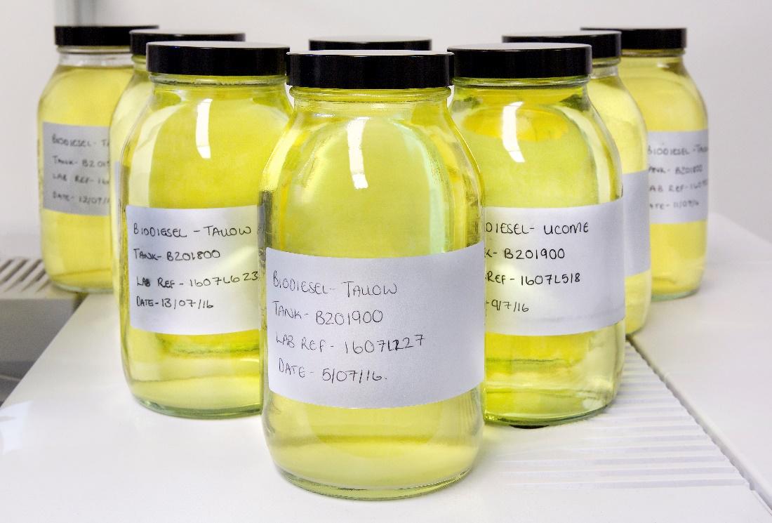 assorted jars of high blend biodiesels with labels 2
